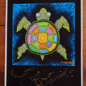 Rainbow Turtle Limited Edition Fine Art Giclee, signed, Black Background