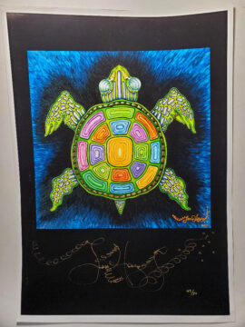 Rainbow Turtle Limited Edition Fine Art Giclee, signed, Black Background