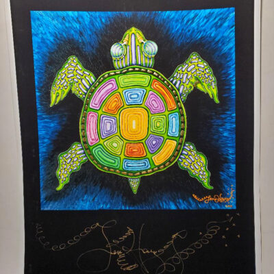 Rainbow Turtle Limited Edition Fine Art Giclee, signed, Black Background