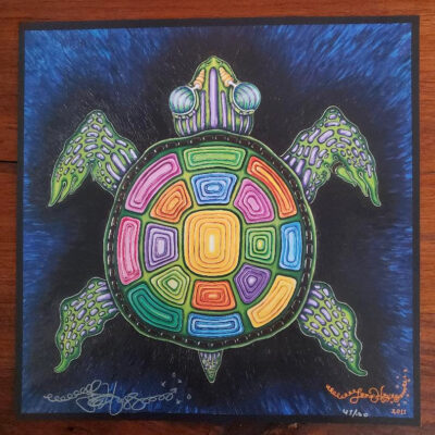 Rainbow Turtle Limited Edition Fine Art Giclee, signed