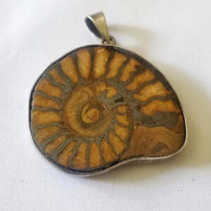 Ammonite set in 925 Sterling Silver l Pendant