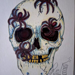 Original Color Pencil Drawing, Spider Skull, 11 x 14 inches