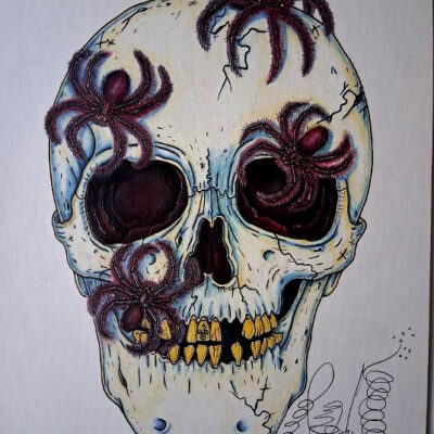 Original Color Pencil Drawing, Spider Skull, 11 x 14 inches
